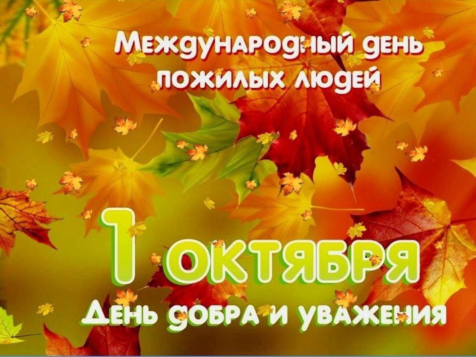 Глава Пугачевского муниципального района Алексей Янин поздравил с международным днем пожилых людей.