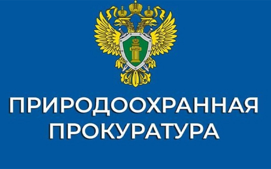 В Саратовской области благодаря вмешательству природоохранной прокуратуры незаконные капитальные строения, возведенные на землях лесного фонда, демонтированы..