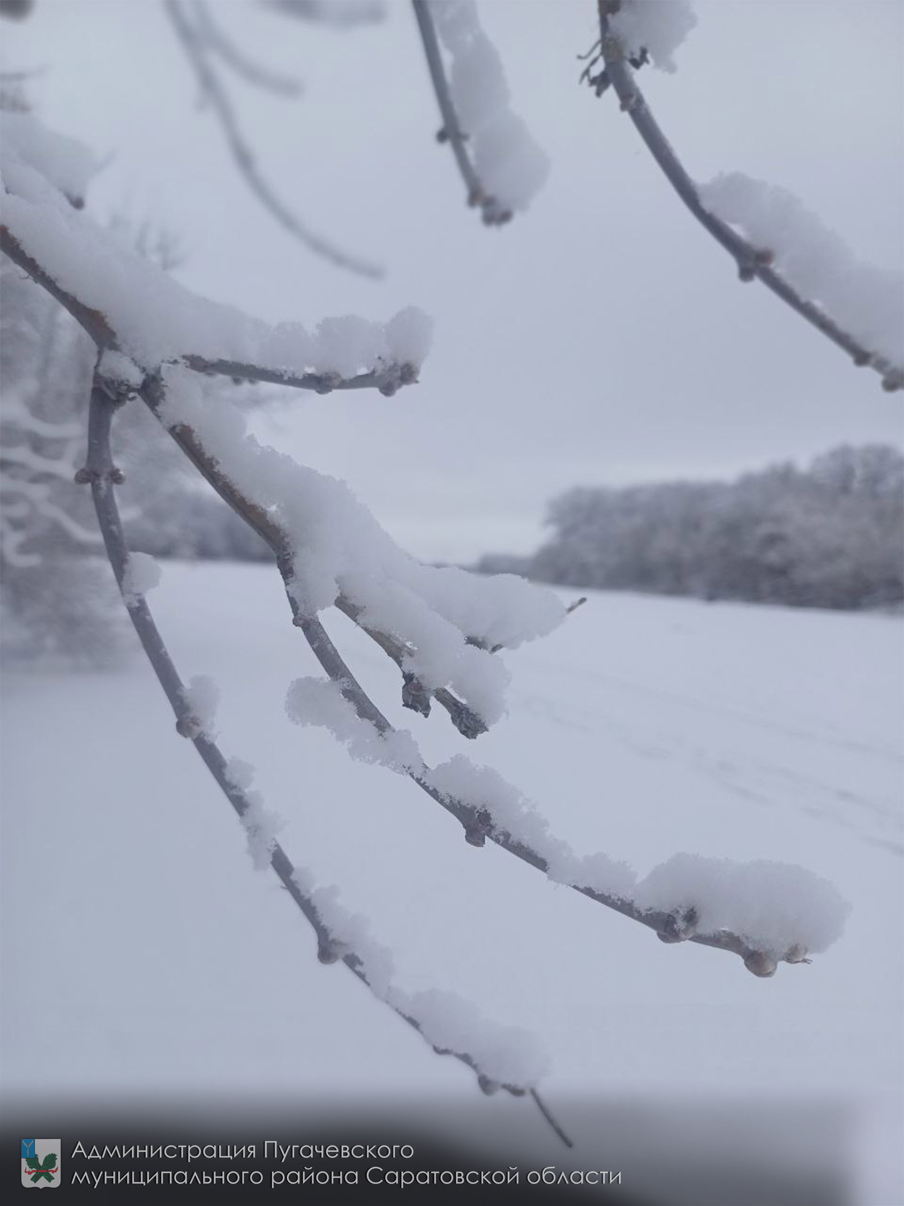 Прогноз погоды.