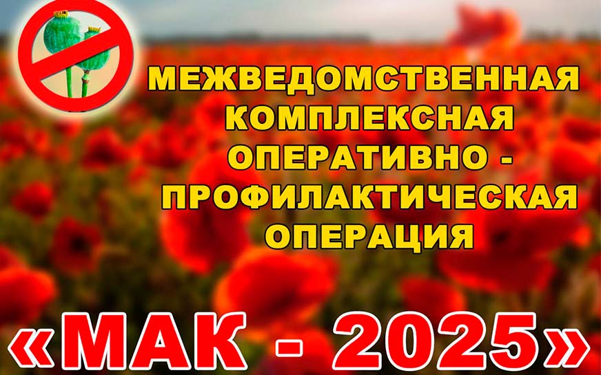 С 14 по 23 июля на территории Саратовской области проводится первый этап межведомственной комплексной оперативно-профилактической операции «Мак - 2025».