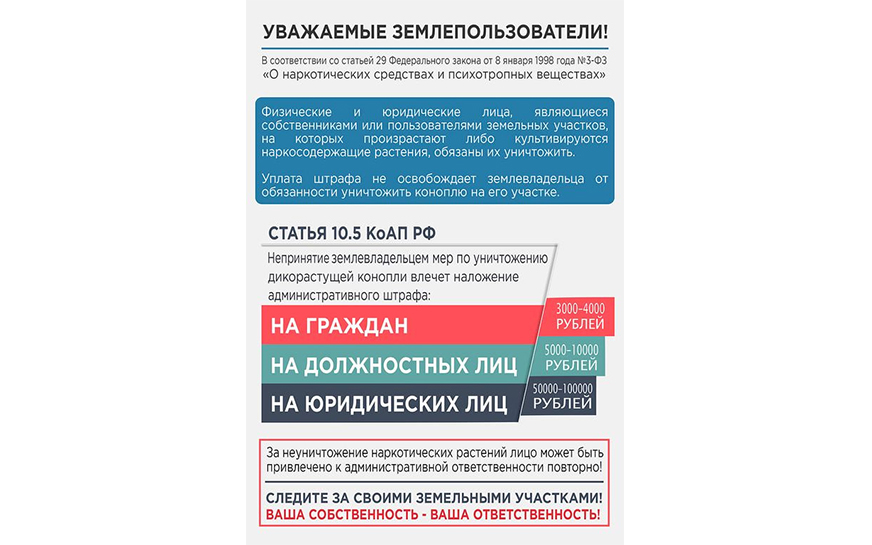 В соответствии с Постановлением Правительства РФ от 27 ноября 2010 г. №934 «Об утверждении перечня растений,.