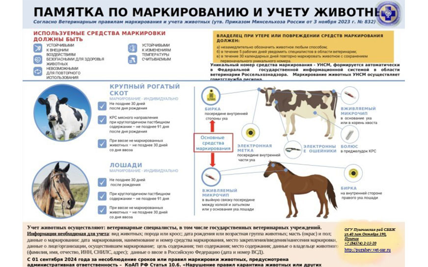 Владельцам сельхозживотных без маркировки не будут выдавать ветсертификаты.