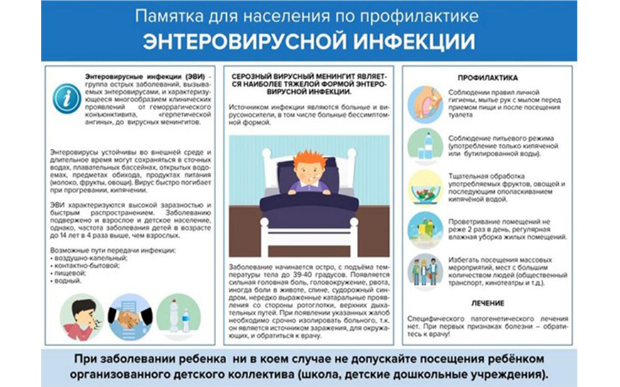 Памятка по профилактике энтеровирусной инфекции.