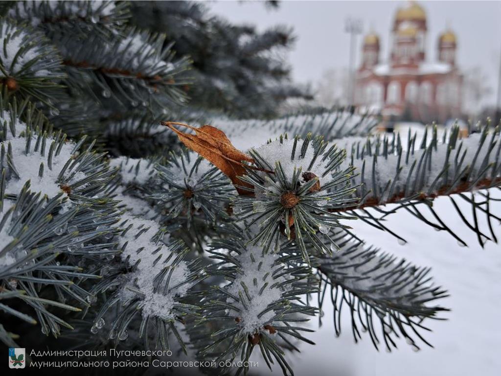 Прогноз погоды на 13, 14 и 15 января 2024 года.