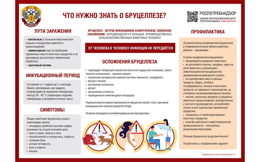 Профилактика и борьба с бруцеллезом сельскохозяйственных животных.