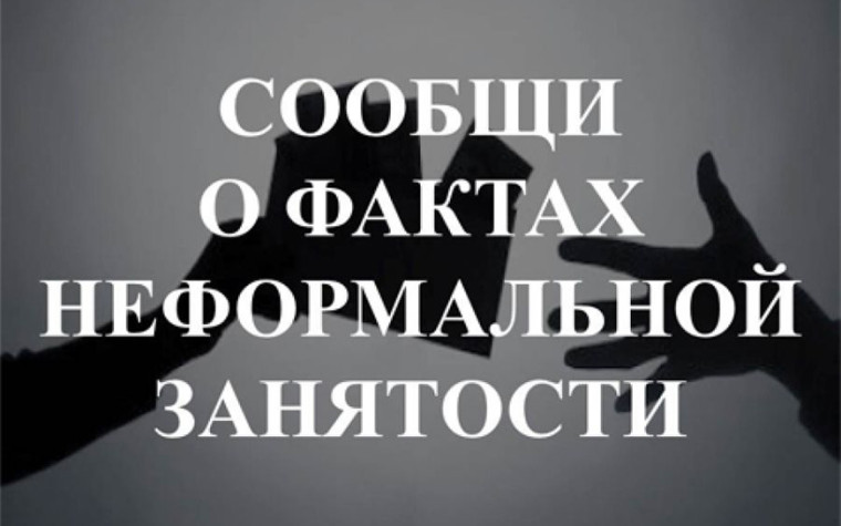 Неформальная занятость. Неформальная занятость.