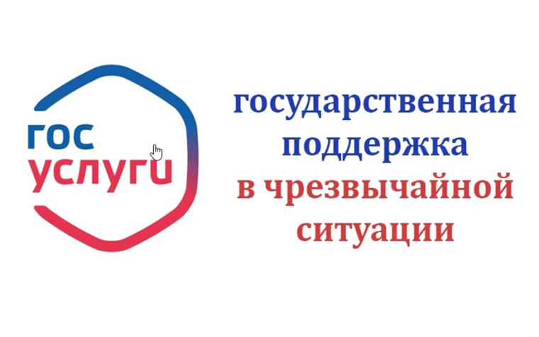 Государственная поддержка в чрезвычайной ситуации. Государственная поддержка в чрезвычайной ситуации.