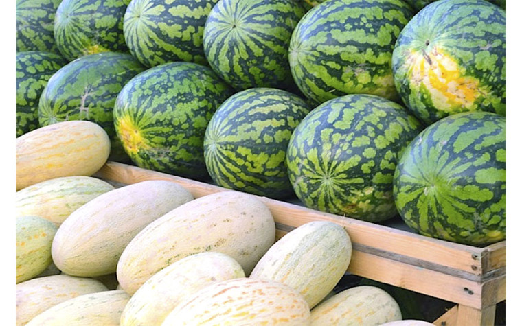 Начался сезон активной продажи бахчевых культур. Начался сезон активной продажи бахчевых культур.