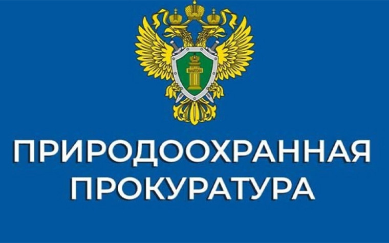 Саратовская межрайонная природоохранная прокуратура разъясняет. Саратовская межрайонная природоохранная прокуратура разъясняет.