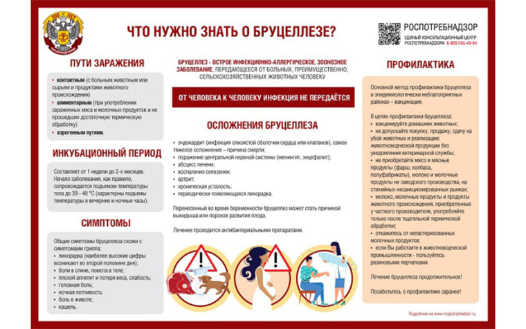 Профилактика и борьба с бруцеллезом сельскохозяйственных животных. Профилактика и борьба с бруцеллезом сельскохозяйственных животных.