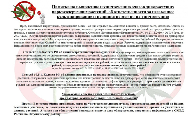 Памятка населению по выявлению и уничтожению очагов дикорастущих наркосодержащих растений, об ответственности за незаконное культивирование и непринятие мер по их уничтожению.. Памятка населению по выявлению и уничтожению очагов дикорастущих наркосодержащих растений, об ответственности за незаконное культивирование и непринятие мер по их уничтожению..