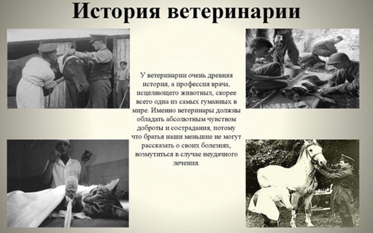 С целью сохранения истории отрасли отечественной ветеринарии, популяризации профессии ветеринарных специалистов, планируется создание Музея истории ветеринарии России в г.Москва.. С целью сохранения истории отрасли отечественной ветеринарии, популяризации профессии ветеринарных специалистов, планируется создание Музея истории ветеринарии России в г.Москва..