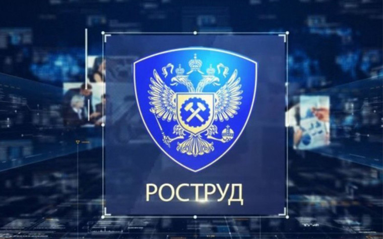 Роструд про профвизиты. Роструд про профвизиты.