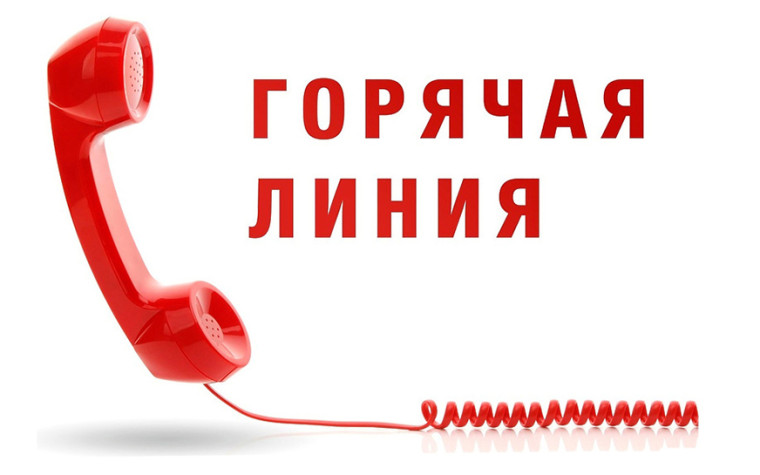 Горячая линия. Горячая линия.